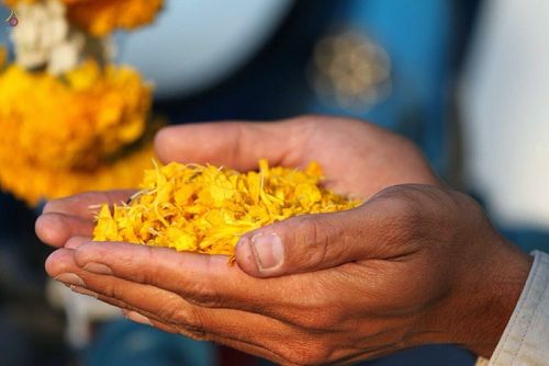 ภาพ No.14622:ประมวลภาพธุดงค์ธรรมชัย ปีที่ 4 วันที่ 24 มกราคม พ.ศ. 2558