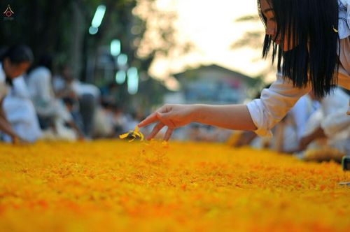 ภาพ No.14824:ประมวลภาพธุดงค์ธรรมชัย ปีที่ 4 วันที่ 25 มกราคม พ.ศ. 2558