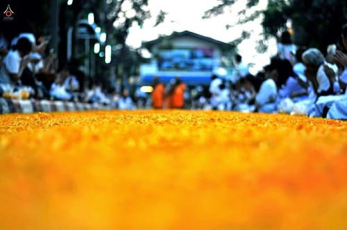 ภาพ No.14820:ประมวลภาพธุดงค์ธรรมชัย ปีที่ 4 วันที่ 25 มกราคม พ.ศ. 2558