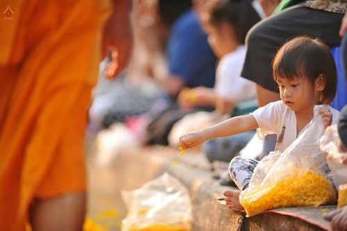 ภาพ No.14866:ประมวลภาพธุดงค์ธรรมชัย ปีที่ 4 วันที่ 25 มกราคม พ.ศ. 2558