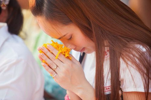 ภาพ No.14889:ประมวลภาพธุดงค์ธรรมชัย ปีที่ 4 วันที่ 25 มกราคม พ.ศ. 2558