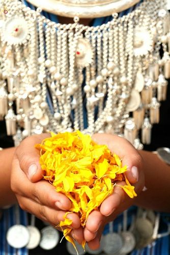 ภาพ No.14949:ประมวลภาพธุดงค์ธรรมชัย ปีที่ 4 วันที่ 26 มกราคม พ.ศ. 2558