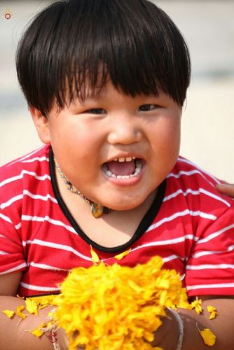 ภาพ No.14950:ประมวลภาพธุดงค์ธรรมชัย ปีที่ 4 วันที่ 26 มกราคม พ.ศ. 2558