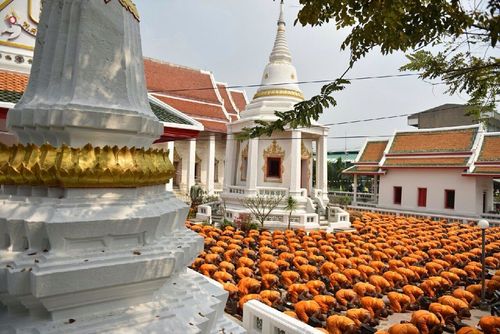 ภาพ No.15041:ประมวลภาพธุดงค์ธรรมชัย ปีที่ 4 วันที่ 27 มกราคม พ.ศ. 2558