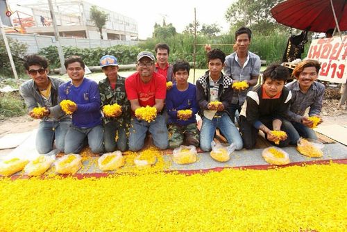 ภาพ No.15077:ประมวลภาพธุดงค์ธรรมชัย ปีที่ 4 วันที่ 27 มกราคม พ.ศ. 2558