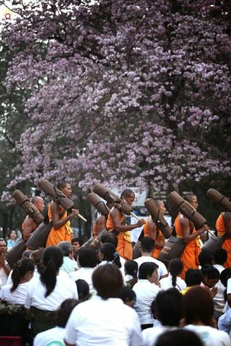 ภาพ No.15147:ประมวลภาพธุดงค์ธรรมชัย ปีที่ 4 วันที่ 28 มกราคม พ.ศ. 2558