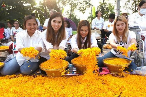 ภาพ No.15183:ประมวลภาพธุดงค์ธรรมชัย ปีที่ 4 วันที่ 28 มกราคม พ.ศ. 2558