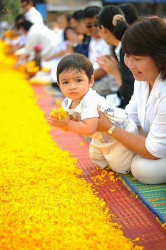 ภาพ No.15198:ประมวลภาพธุดงค์ธรรมชัย ปีที่ 4 วันที่ 28 มกราคม พ.ศ. 2558