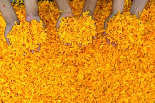 ภาพ No.15201:ประมวลภาพธุดงค์ธรรมชัย ปีที่ 4 วันที่ 28 มกราคม พ.ศ. 2558