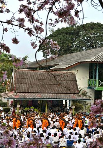 ภาพ No.15218:ประมวลภาพธุดงค์ธรรมชัย ปีที่ 4 วันที่ 28 มกราคม พ.ศ. 2558