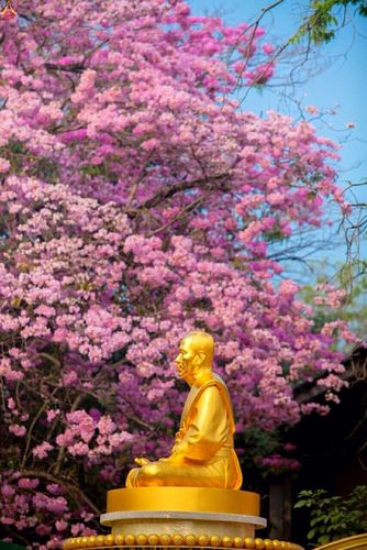 ภาพ No.15337:ประมวลภาพธุดงค์ธรรมชัย ปีที่ 4 วันที่ 29 มกราคม พ.ศ. 2558