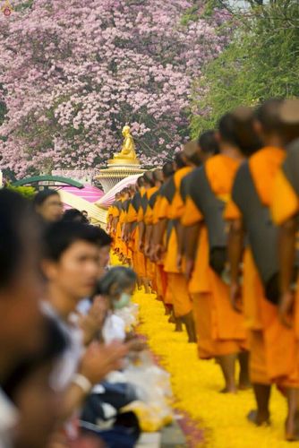 ภาพ No.15342:ประมวลภาพธุดงค์ธรรมชัย ปีที่ 4 วันที่ 29 มกราคม พ.ศ. 2558