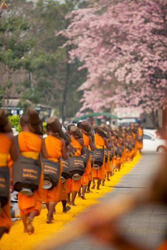 ภาพ No.15341:ประมวลภาพธุดงค์ธรรมชัย ปีที่ 4 วันที่ 29 มกราคม พ.ศ. 2558