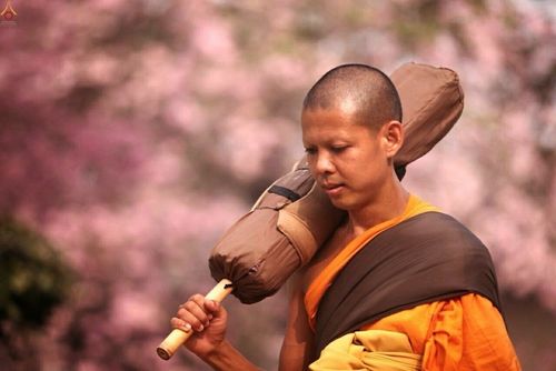 ภาพ No.15344:ประมวลภาพธุดงค์ธรรมชัย ปีที่ 4 วันที่ 29 มกราคม พ.ศ. 2558