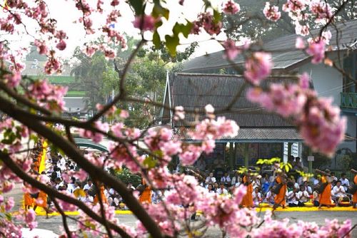 ภาพ No.15348:ประมวลภาพธุดงค์ธรรมชัย ปีที่ 4 วันที่ 29 มกราคม พ.ศ. 2558