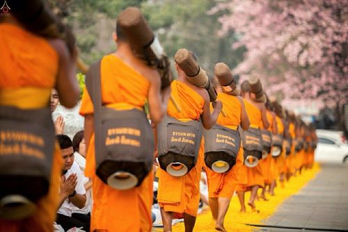 ภาพ No.15345:ประมวลภาพธุดงค์ธรรมชัย ปีที่ 4 วันที่ 29 มกราคม พ.ศ. 2558