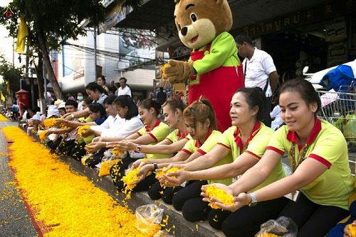 ภาพ No.15231:ประมวลภาพธุดงค์ธรรมชัย ปีที่ 4 วันที่ 29 มกราคม พ.ศ. 2558