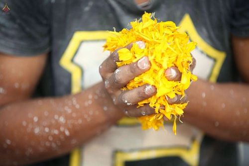 ภาพ No.15258:ประมวลภาพธุดงค์ธรรมชัย ปีที่ 4 วันที่ 29 มกราคม พ.ศ. 2558