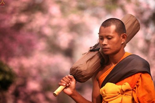 ภาพ No.15387:ประมวลภาพธุดงค์ธรรมชัย ปีที่ 4 วันที่ 29 มกราคม พ.ศ. 2558