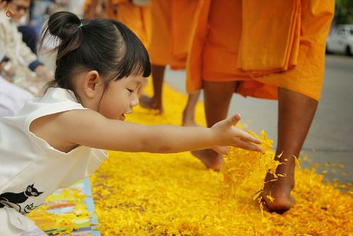 ภาพ No.15504:ประมวลภาพธุดงค์ธรรมชัย ปีที่ 4 วันที่ 31 มกราคม พ.ศ. 2558