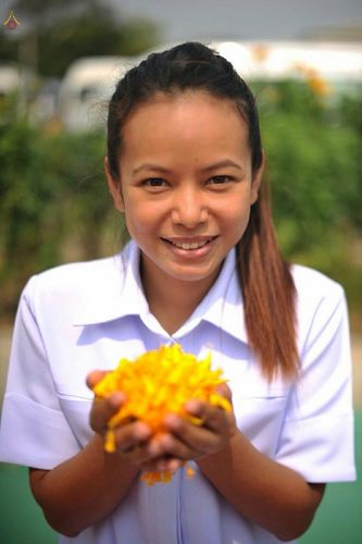 ภาพ No.15568:ประมวลภาพธุดงค์ธรรมชัย ปีที่ 4 วันที่ 31 มกราคม พ.ศ. 2558