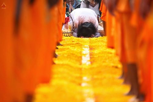 ภาพ No.15418:ประมวลภาพธุดงค์ธรรมชัย ปีที่ 4 วันที่ 31 มกราคม พ.ศ. 2558