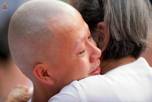 ภาพ No.16229:ประมวลภาพพิธีปลงผมธรรมทายาท รุ่นบูชาธรรม 71 ปี พระเทพญาณมหามุนี