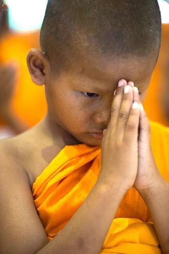 ภาพ No.16289:ประมวลภาพวันสามเณรทั่วไทยรวมใจเพื่อฟื้นฟูพระพุทธศาสนา ครั้งที่ 1