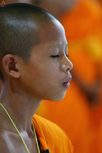 ภาพ No.16297:ประมวลภาพวันสามเณรทั่วไทยรวมใจเพื่อฟื้นฟูพระพุทธศาสนา ครั้งที่ 1