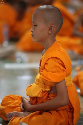 ภาพ No.16372:ประมวลภาพวันสามเณรทั่วไทยรวมใจเพื่อฟื้นฟูพระพุทธศาสนา ครั้งที่ 1