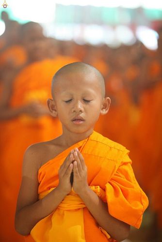 ภาพ No.16381:ประมวลภาพวันสามเณรทั่วไทยรวมใจเพื่อฟื้นฟูพระพุทธศาสนา ครั้งที่ 1