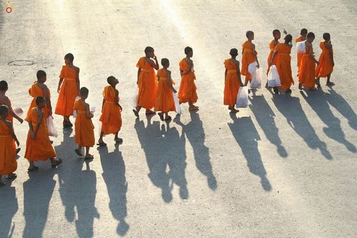 ภาพ No.16441:ประมวลภาพวันสามเณรทั่วไทยรวมใจเพื่อฟื้นฟูพระพุทธศาสนา ครั้งที่ 1