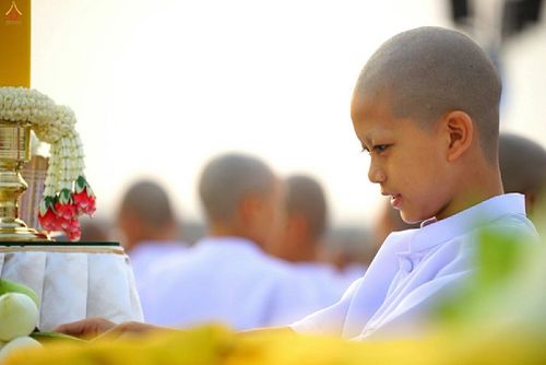ภาพ No.16455:ประมวลภาพพิธีบรรพชาธรรมทายาทนานาชาติ 4 รุ่น