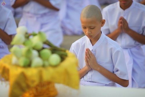 ภาพ No.16456:ประมวลภาพพิธีบรรพชาธรรมทายาทนานาชาติ 4 รุ่น