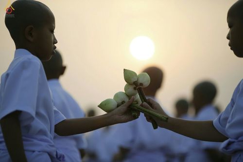 ภาพ No.16485:ประมวลภาพพิธีบรรพชาธรรมทายาทนานาชาติ 4 รุ่น