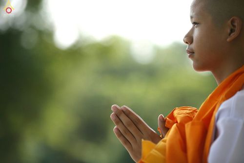 ภาพ No.16500:ประมวลภาพพิธีบรรพชาธรรมทายาทนานาชาติ 4 รุ่น