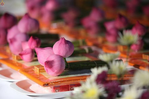 ภาพ No.16702:ประมวลภาพวันคุ้มครองโลก 2558 ณ วัดพระธรรมกาย