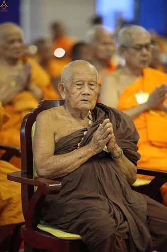 ภาพ No.16725:ประมวลภาพวันคุ้มครองโลก 2558 ณ วัดพระธรรมกาย