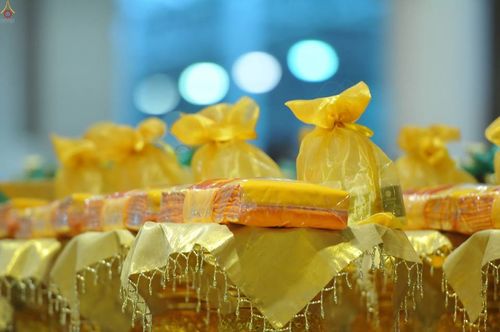 ภาพ No.16726:ประมวลภาพวันคุ้มครองโลก 2558 ณ วัดพระธรรมกาย