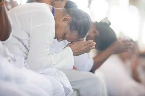 ภาพ No.16751:ประมวลภาพวันคุ้มครองโลก 2558 ณ วัดพระธรรมกาย