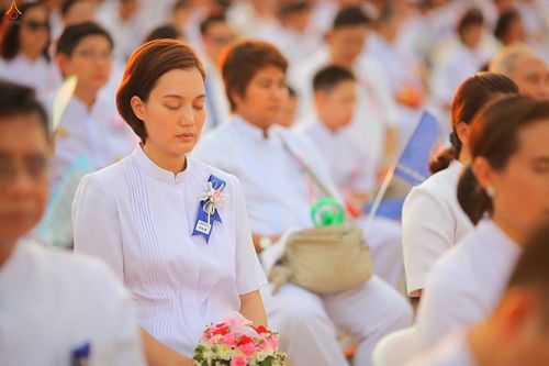 ภาพ No.16778:ประมวลภาพวันคุ้มครองโลก 2558 ณ วัดพระธรรมกาย