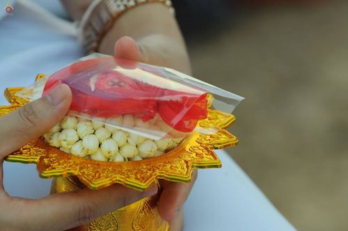 ภาพ No.16787:ประมวลภาพวันคุ้มครองโลก 2558 ณ วัดพระธรรมกาย