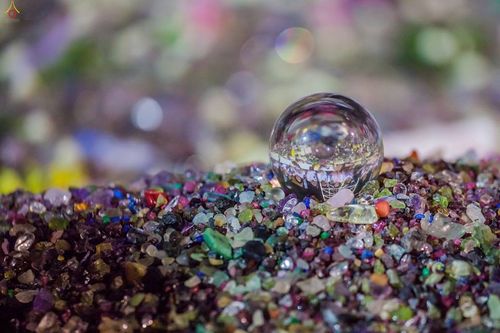 ภาพ No.16793:ประมวลภาพวันคุ้มครองโลก 2558 ณ วัดพระธรรมกาย