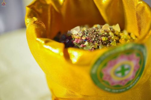 ภาพ No.16794:ประมวลภาพวันคุ้มครองโลก 2558 ณ วัดพระธรรมกาย