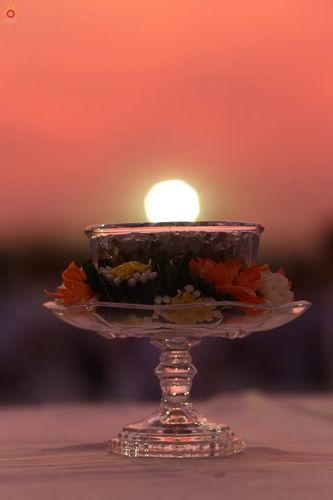 ภาพ No.16795:ประมวลภาพวันคุ้มครองโลก 2558 ณ วัดพระธรรมกาย