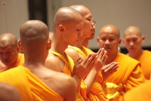 ภาพ No.16830:ประมวลภาพพิธีอุปสมบทสามเณรเตรียมสถาบันธรรมชัย รุ่นที่ 12