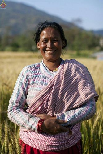 ภาพ No.16870:มูลนิธิธรรมกายช่วยเหลือผู้ประสบภัยแผ่นดินไหวที่ประเทศเนปาล