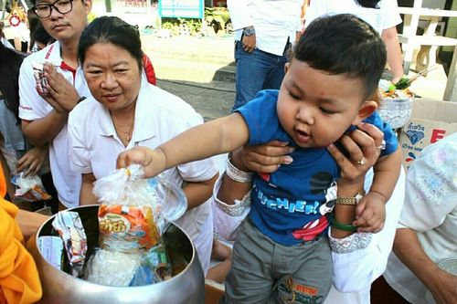 ภาพ No.17312:ตักบาตรพระ 1,543 รูป อ.สันป่าตอง จ.เชียงใหม่