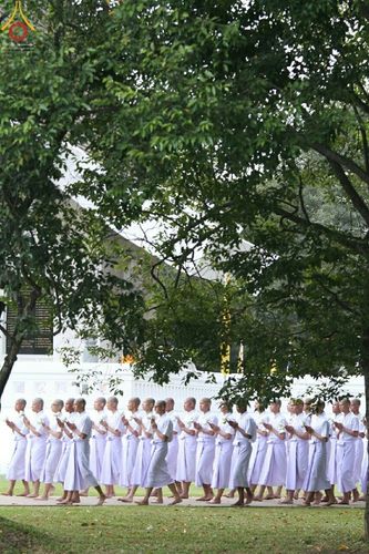 ภาพ No.17523:ประมวลภาพพิธีบรรพชาอุปสมบทหมู่ 3 โครงการ