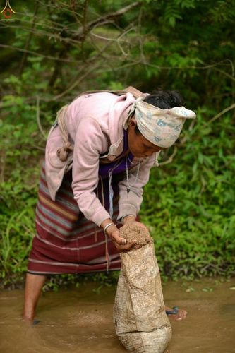 ภาพ No.17618:พิธีแสดงตนเป็นพุทธมามกะกลั่นแผ่นดินและโปรยทรายเพื่อสถาปนาพระเจดีย์สวรรค์วัดบ้านแม่แสนสุข